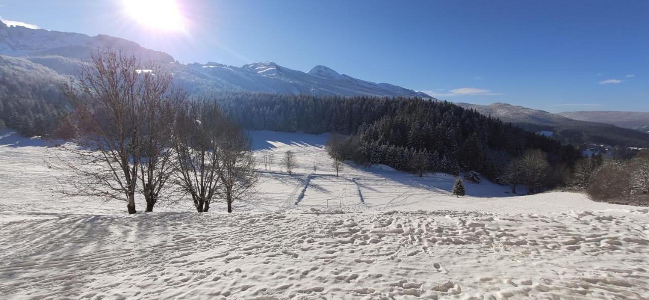 Studio Cosy Au Pied Des Pistes Villard-De-Lans 4 Pers Dış mekan fotoğraf